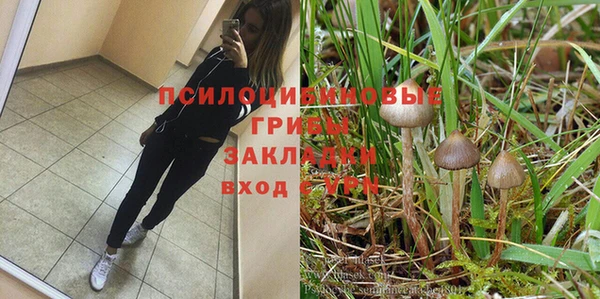 бошки Алексеевка